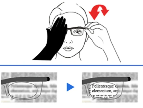 Flex Vision glasses